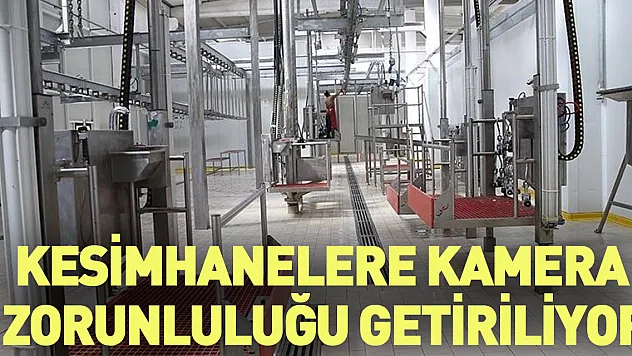Kesimhanelere kamera zorunluluğu getiriliyor