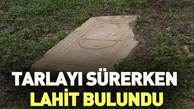 Tarlayı sürerken Lahit bulundu
