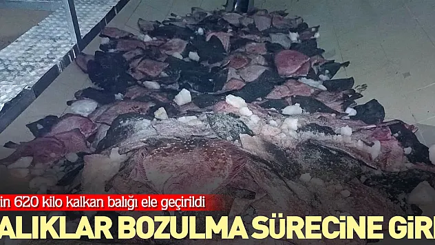 Balıklar bozulma sürecine girdi