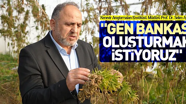 'Gen bankası oluşturmak istiyoruz'