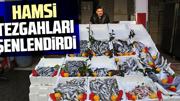 Hamsi Tezgahları Şenlendirdi