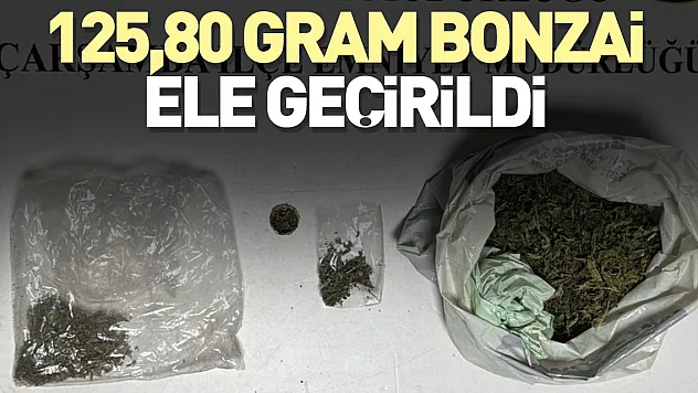 125,80 gram bonzai ele geçirildi