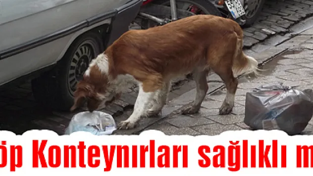 Çöp Konteynırları sağlıklı mı?