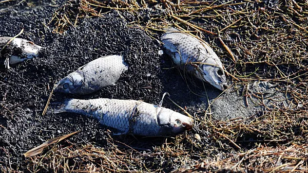 Sivas'ta korkutan görüntü