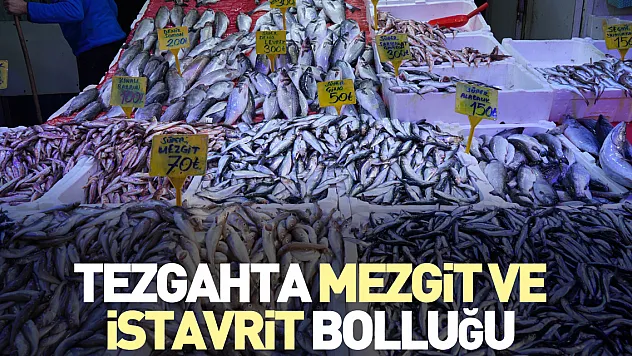Tezgahta mezgit ve istavrit bolluğu