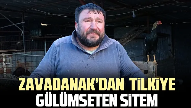 Zavadanak'dan  tilkiye gülümseten sitem