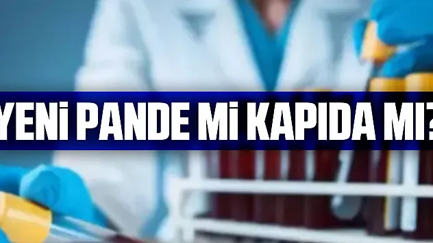 YENi PANDE Mi KAPIDA MI?