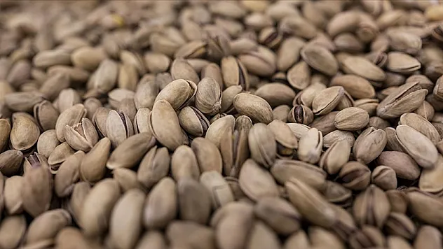 229 milyon dolarlık fıstık ihraç edildi