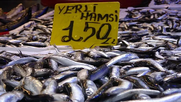 HAMSİ AVI DÜŞTÜ FİYATLAR ARTTI