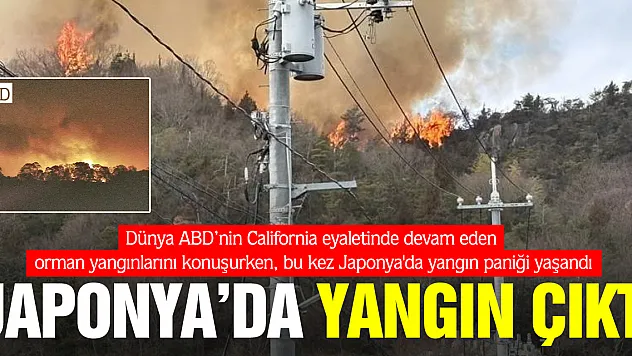 Japonya'da orman yangını