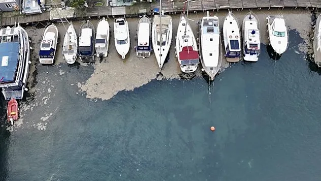 2 gün üst üste deniz yüzeyinde görüldü