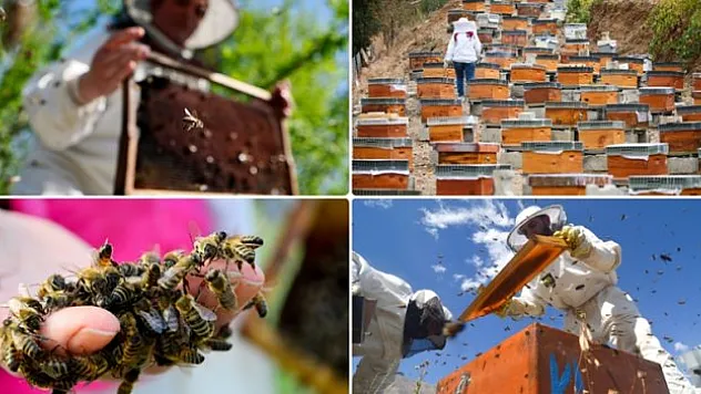 2024'te 32,3 milyon doları aştı