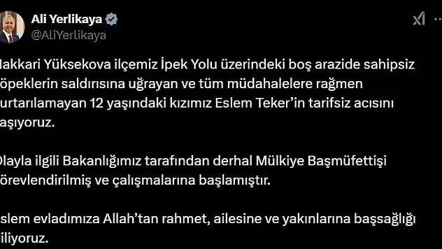 Sokak köpeklerinin öldürdüğü Eslem için Mülkiye Başmüfettişi görevlendirildi