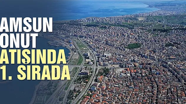 Samsun konut satışında 11. sırada