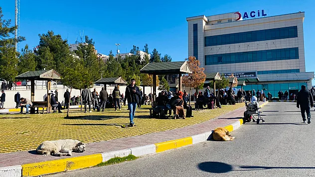 Diyarbakır'da köpek saldırısına uğrayan çocuk kafasından yaralandı