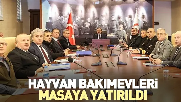 Hayvan bakımevleri masaya yatırıldı