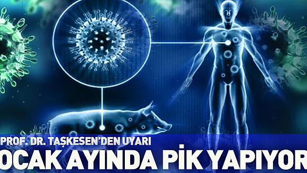 Prof. Dr. Taşkesen: 'Domuz gribi ocak ayı ile birlikte pik yapıyor'
