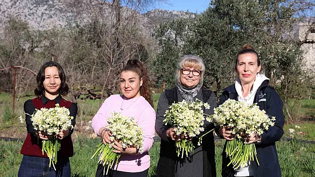 Büyükşehirden kadın üreticilere mis kokulu destek