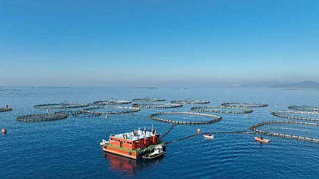 Muğla'da su ürünlerinden 624,6 milyon dolar yatırım kazandı