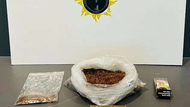 246 gram bonzai ile yakalandı