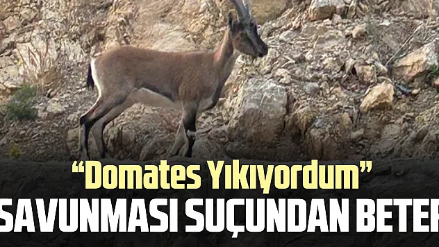 SAVUNMASI SUÇUNDAN BETER