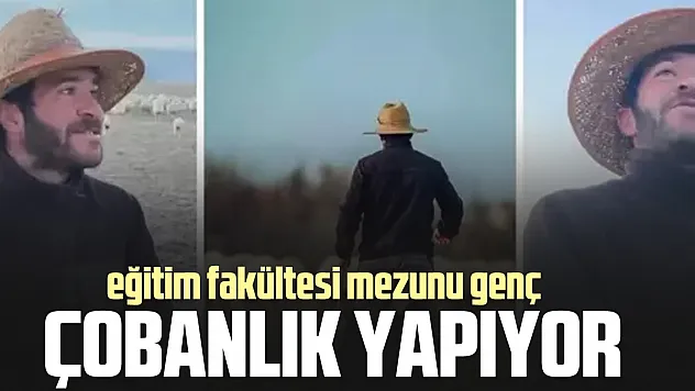 Eğitim fakültesi mezunu çobanlık yapıyor