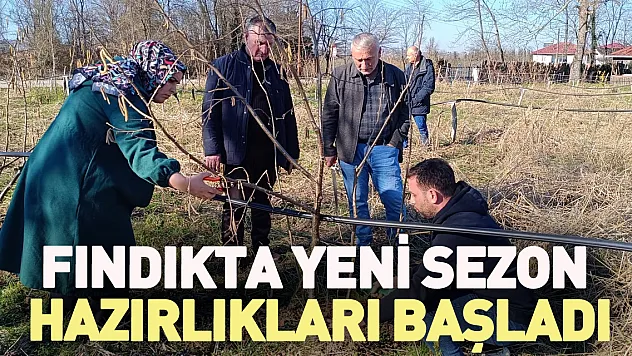 FINDIKTA YENİ SEZON HAZIRLIKLARI BAŞLADI