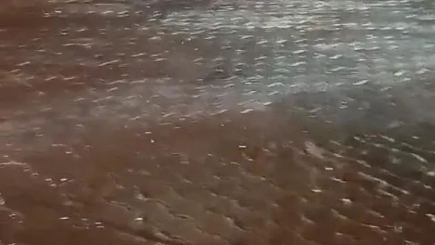 Antalya'da drift yapan 4 sürücüye 206 bin 412 lira ceza