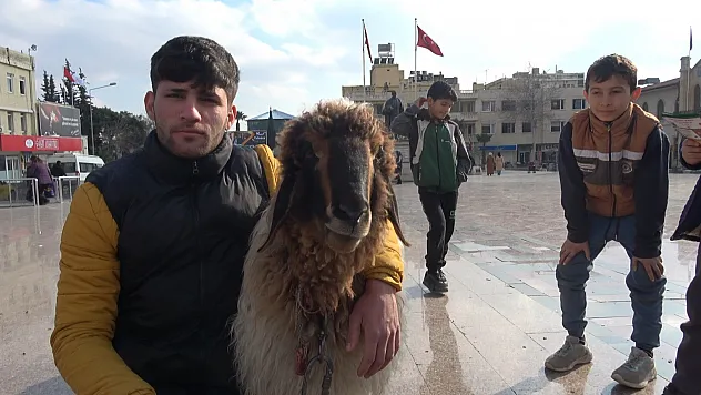 Kilis sokaklarında koyunu ile gezen genç ilgi odağı oldu