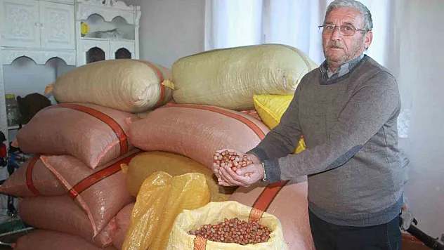 Türkiye fındığının yüzde 15'i üreticinin evinde