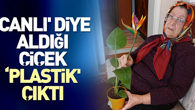 'Canlı' diye aldığı çiçek 'plastik' çıktı
