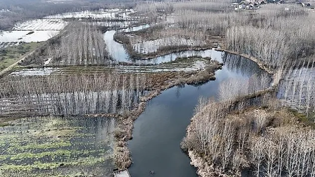 Acarlar Longozu geleceğe taşınacak