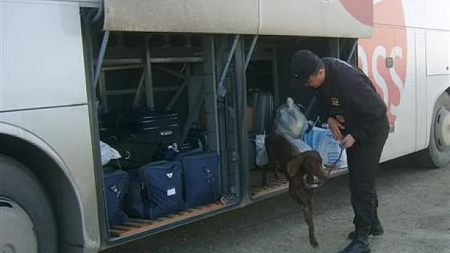 Narkotik Köpeği 'Asit' Denetimde