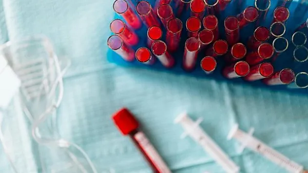 'Kalp kası yamaları' geliştirildi