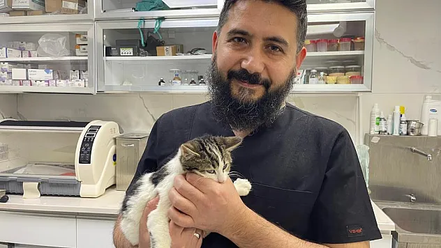 Veteriner hekim sahte mama riskine karşı uyardı