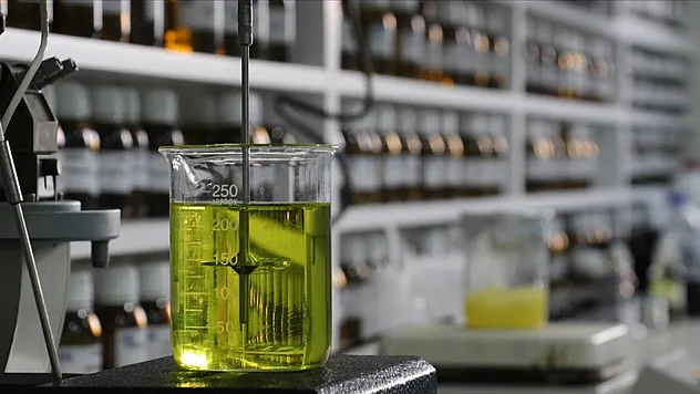 Sakarya'da üretiliyor, 84 ülkeye gönderiliyor