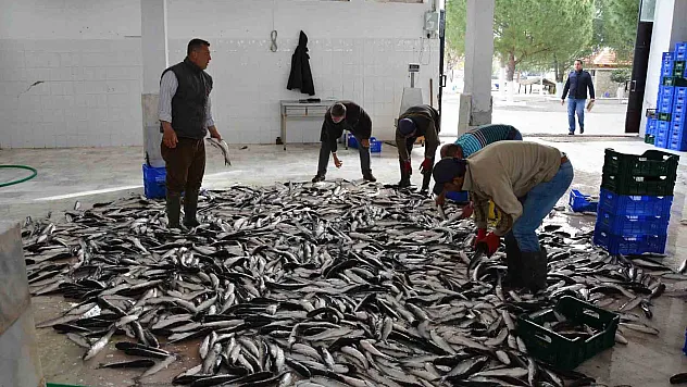 Muğla'nın Ocak ayı ihracatı 80,5 milyon dolar