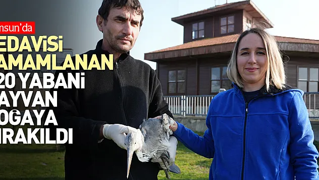 120 yabani hayvan doğaya bırakıldı
