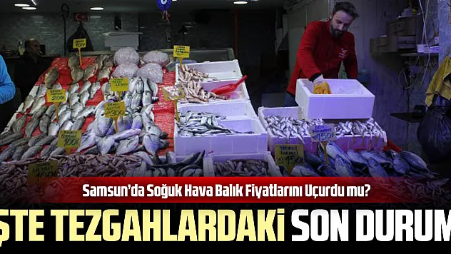Samsun'da Soğuk Hava Balık Fiyatlarını Uçurdu mu? İşte Tezgahlardaki Son Durum!