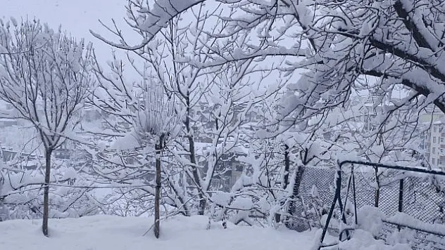 Hakkari'de beyaz örtü