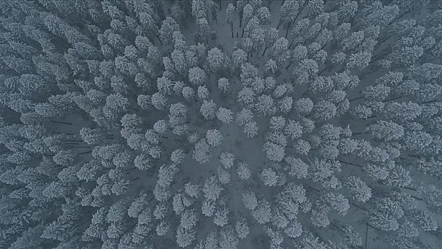 Karla kaplanan Ilgaz Dağı dronla görüntülendi