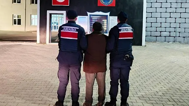 Kaçak dolandırıcılar yakalandı