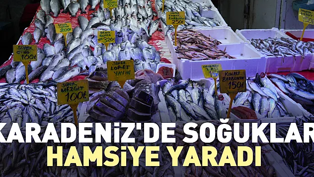 Karadeniz'de soğuklar hamsiye yaradı