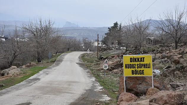 Köylüler başıboş köpeklerin toplanmasını talep ediyor