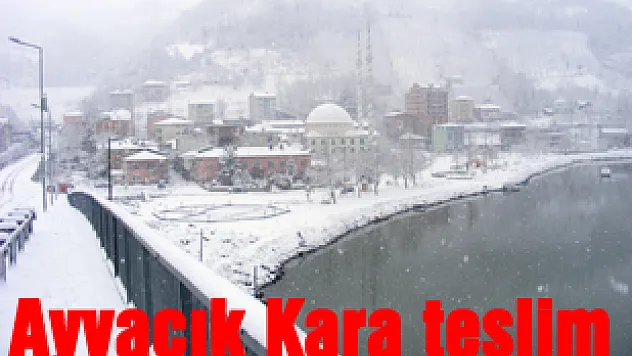 Ayvacık Kara teslim