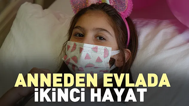 Anneden evlada ikinci hayat