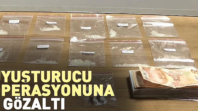 Uyuşturucu operasyonuna 1 gözaltı