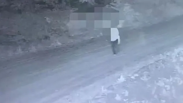 Fotokapan organize suç örgütünü kaptı