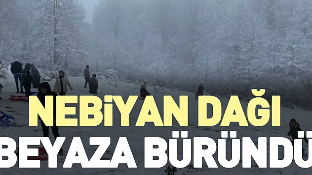 Nebiyan Dağı beyaza büründü