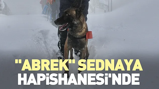 'Abrek' Sednaya Hapishanesi'nde